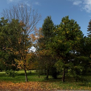 1as